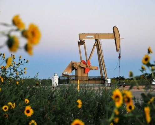 صعود تولید نفت آمریکا به بالای ۱۳ میلیون بشکه