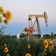 صعود تولید نفت آمریکا به بالای ۱۳ میلیون بشکه