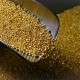 پیش‌بینی افزایش قیمت طلا تا مرز ۱۷۰۰ دلار