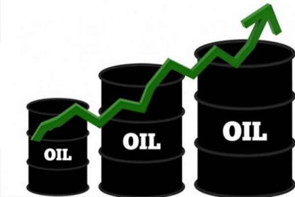 پیش بینی افزایش قیمت نفت